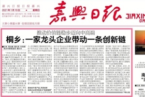 嘉興日報(bào)頭版頭條點(diǎn)贊！桐鄉(xiāng)：一家龍頭企業(yè)帶動一條創(chuàng)新鏈