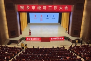 【菊鄉(xiāng)快評(píng)】經(jīng)濟(jì)工作大會(huì)上，桐鄉(xiāng)市委書記為何重點(diǎn)講巨石的電子布？