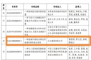 嘉興首金！巨石集團(tuán)摘得中國專利獎(jiǎng)金獎(jiǎng)